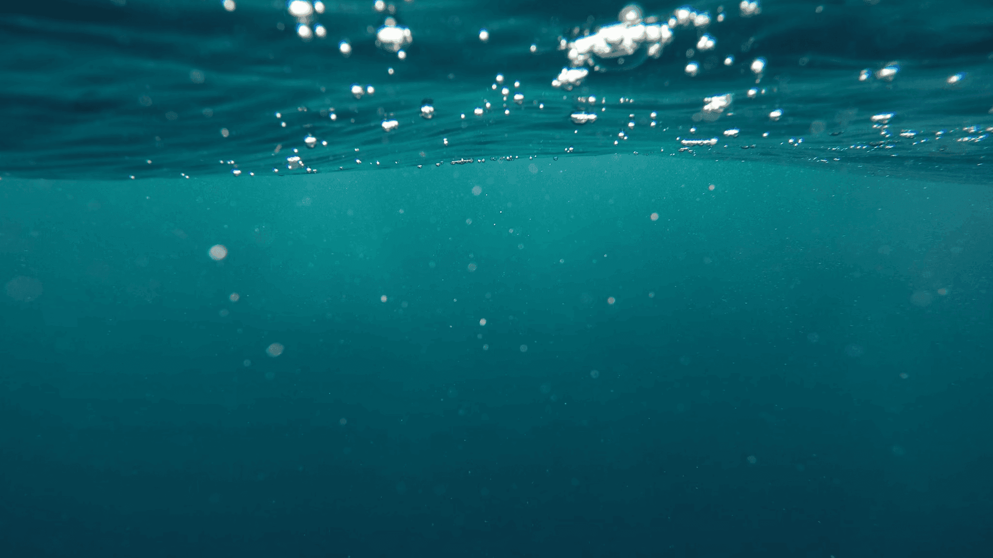 BWT - EuroWater